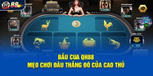 Bầu Cua - Tham Khảo Mẹo Chơi Đâu Thắng Đó Của Cao Thủ