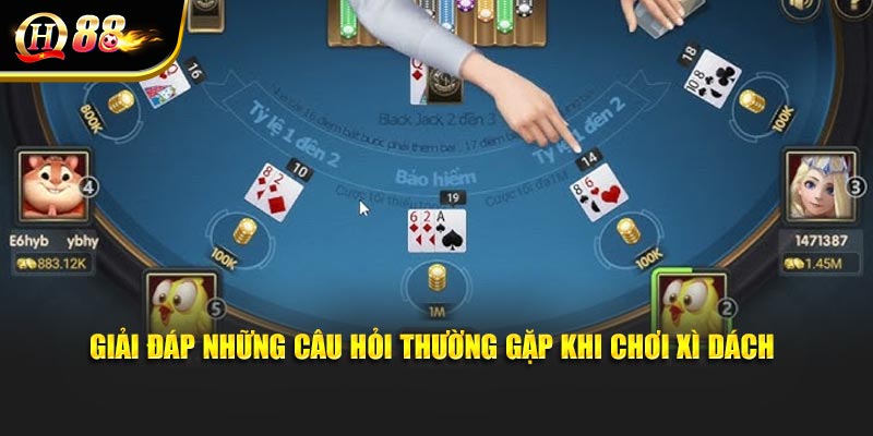 Giải đáp những câu hỏi thường gặp khi chơi xì dách