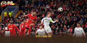 Kèo Châu Âu Là Gì? Hiểu Cách Đọc Kèo Và Bí Quyết Chơi