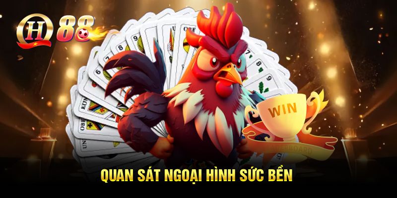 Quan sát ngoại hình sức bền